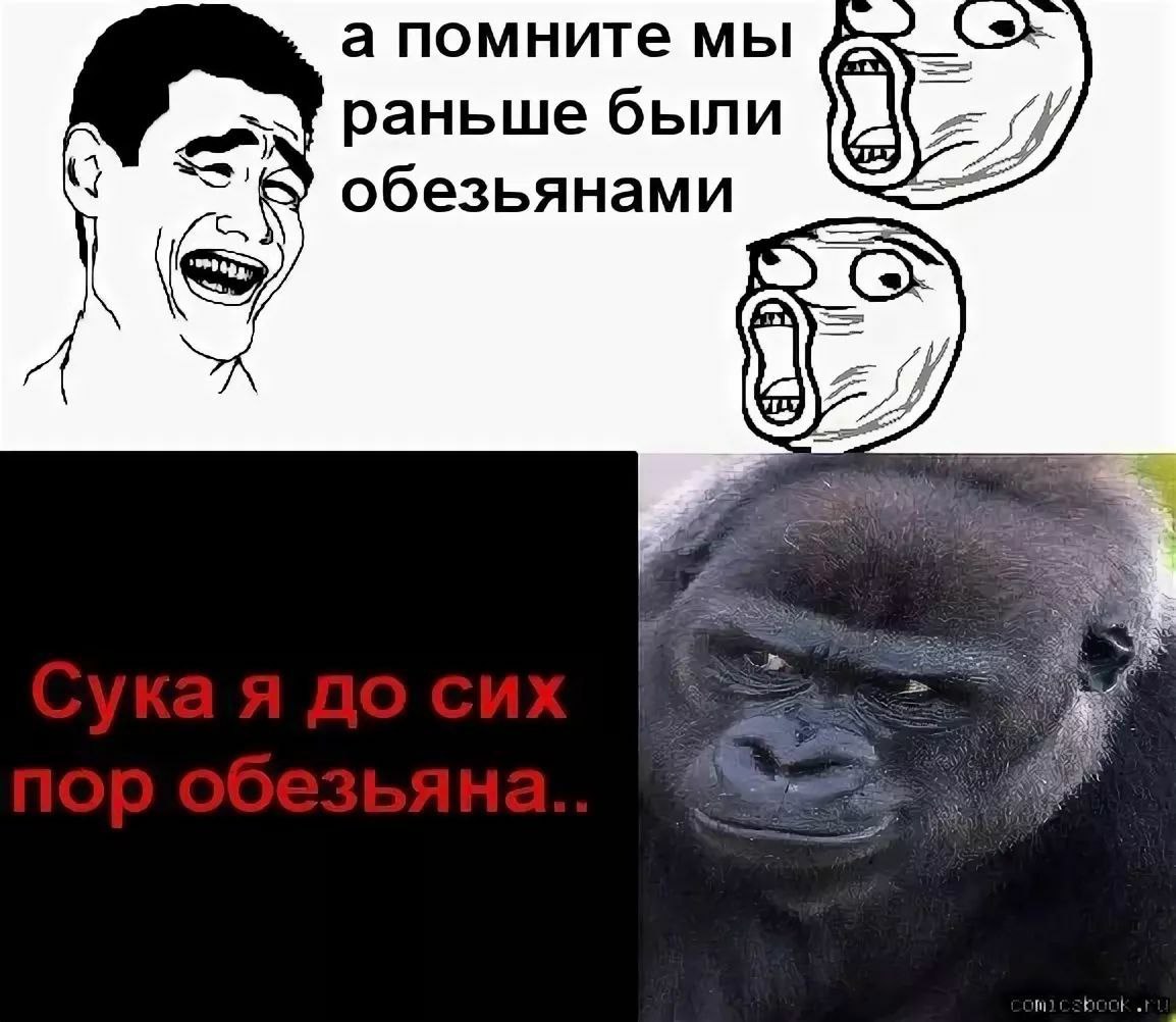 а помните мы раньше были обезьянами a book