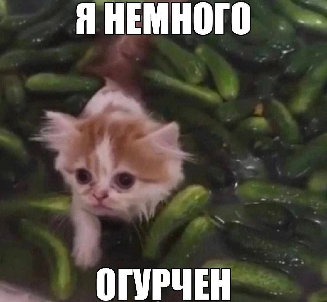 Я НЕМНОГО ОГУРЧЕН