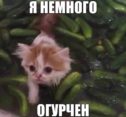 Я НЕМНОГО ОГУРЧЕН