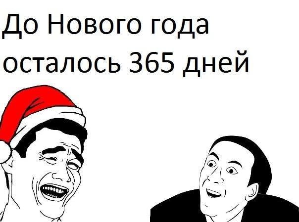 До Нового года осталось 365 дней