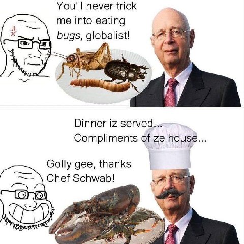 You'll never trick me into eating 2С bugs, glo Dinner Compliments of Golly gee, thanks Chef Schwab! gat