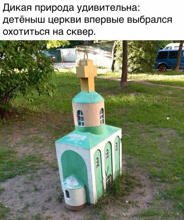 Дикая природа удивительна: детёныш церкви впервые выбрался охотиться на сквер. AS