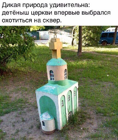 Дикая природа удивительна: детёныш церкви впервые выбрался охотиться на сквер. AS