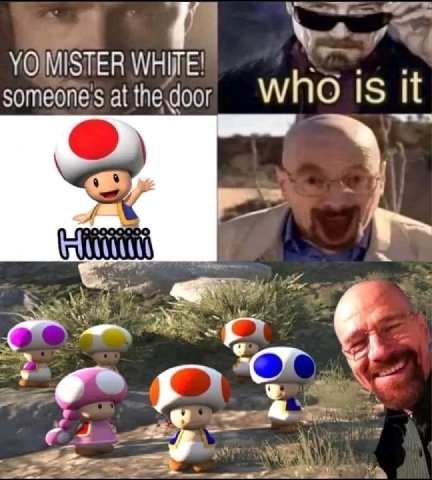 MISTER someone at the door who 1$