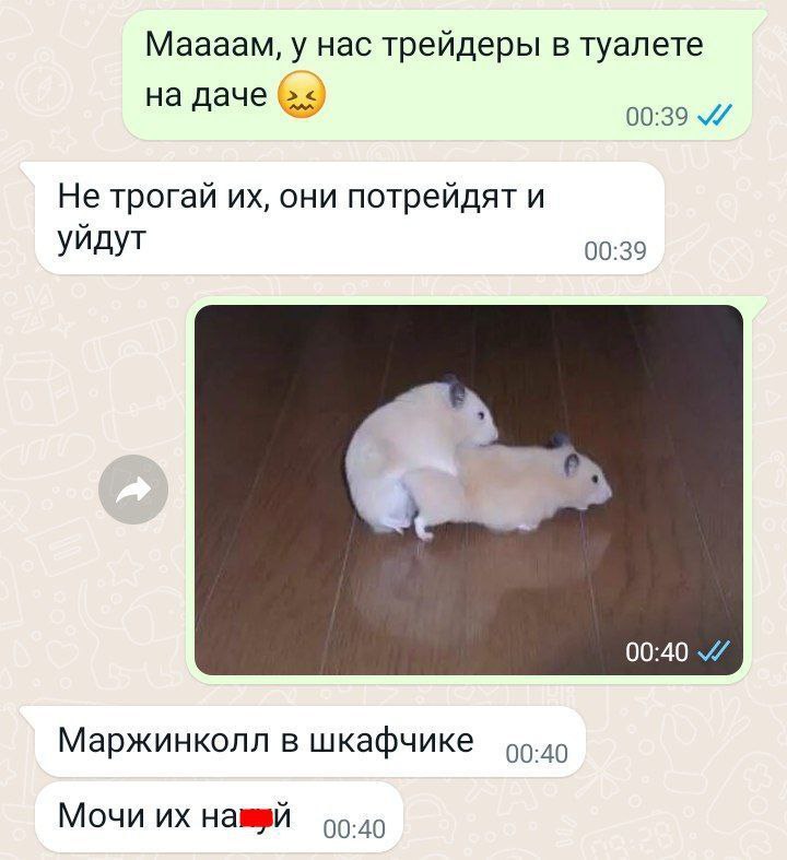 Маааам, у нас трейдеры в туалете на даче 00:39 Не трогай они потрейдят и уйдут 00:39 Маржинколл в шкафчике Мочи 49.49