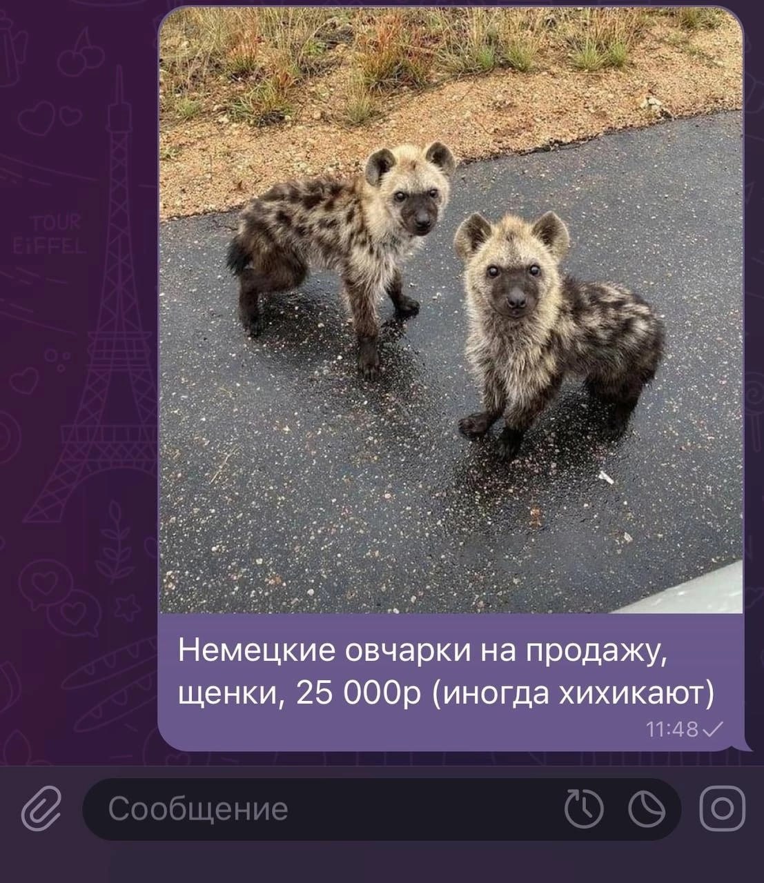 Едет один клоун в жопу другого, а тот хихикает.
- Ты чё хихикаешь, я же тебя в жопу ебу?
- Ты ебёшь не меня, ты ебёшь немецкую овчарку