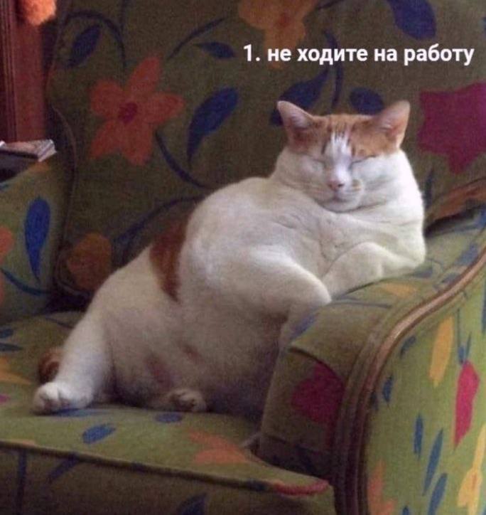 1. не ходите на работу