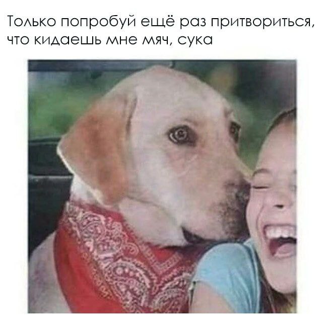 Только попробуй ещё раз притвориться, что кидаешь мне мяч, сука