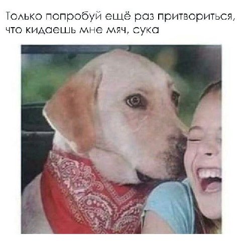 Только попробуй ещё раз притвориться, что кидаешь мне мяч, сука