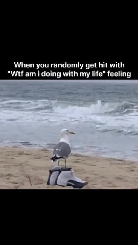 "Wtf am i doing with my life" feeling