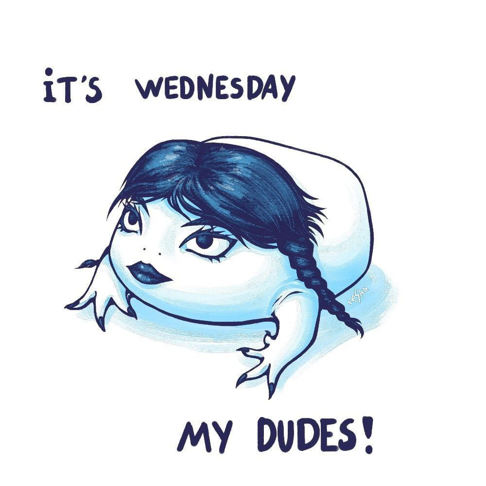 WEDNESDAY DUDES!