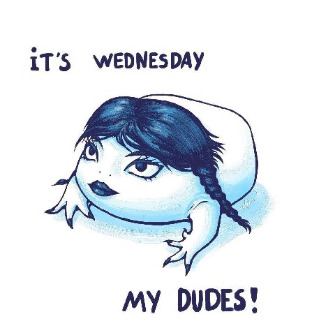 WEDNESDAY DUDES!