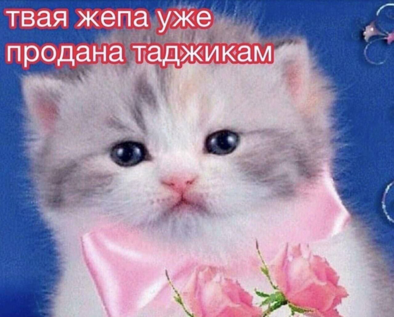 твая жепа уже продана таджикам 4