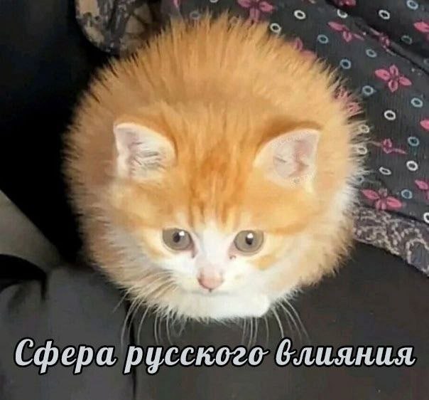 Сфера русского блияния
