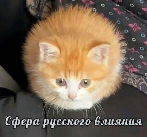 Сфера русского блияния