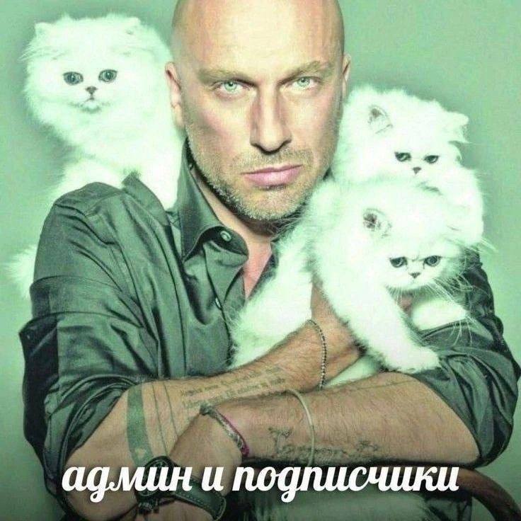 A a a a админ и подписчики