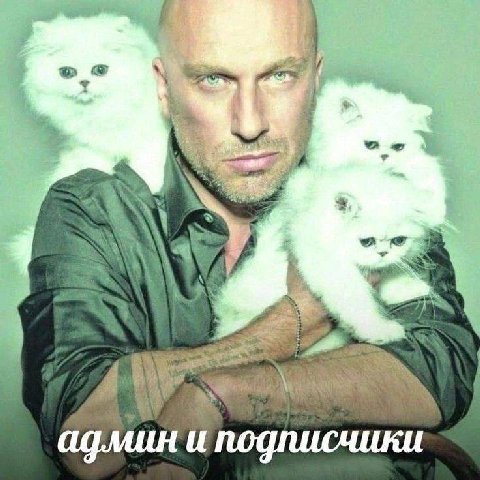 A a a a админ и подписчики