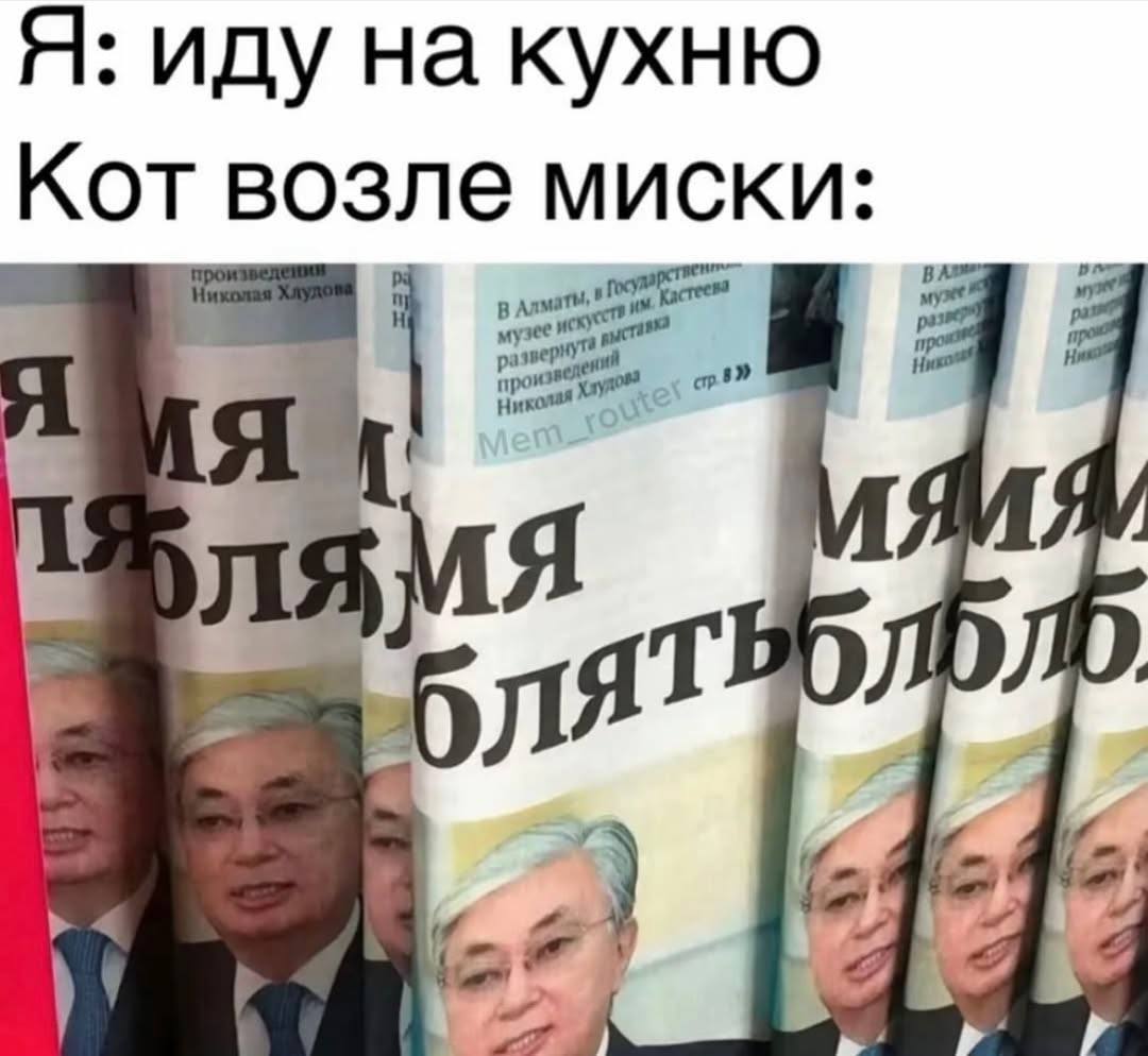 Я: иду на кухню Кот возле миски: Я блят