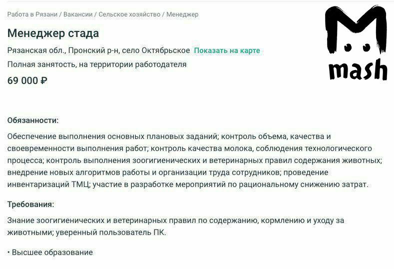 В Рязанской области на вакансии доярок и скотоводов ищут "менеджера стада". Будущее уже наступило, без знания ПК не обойтись нигде.
