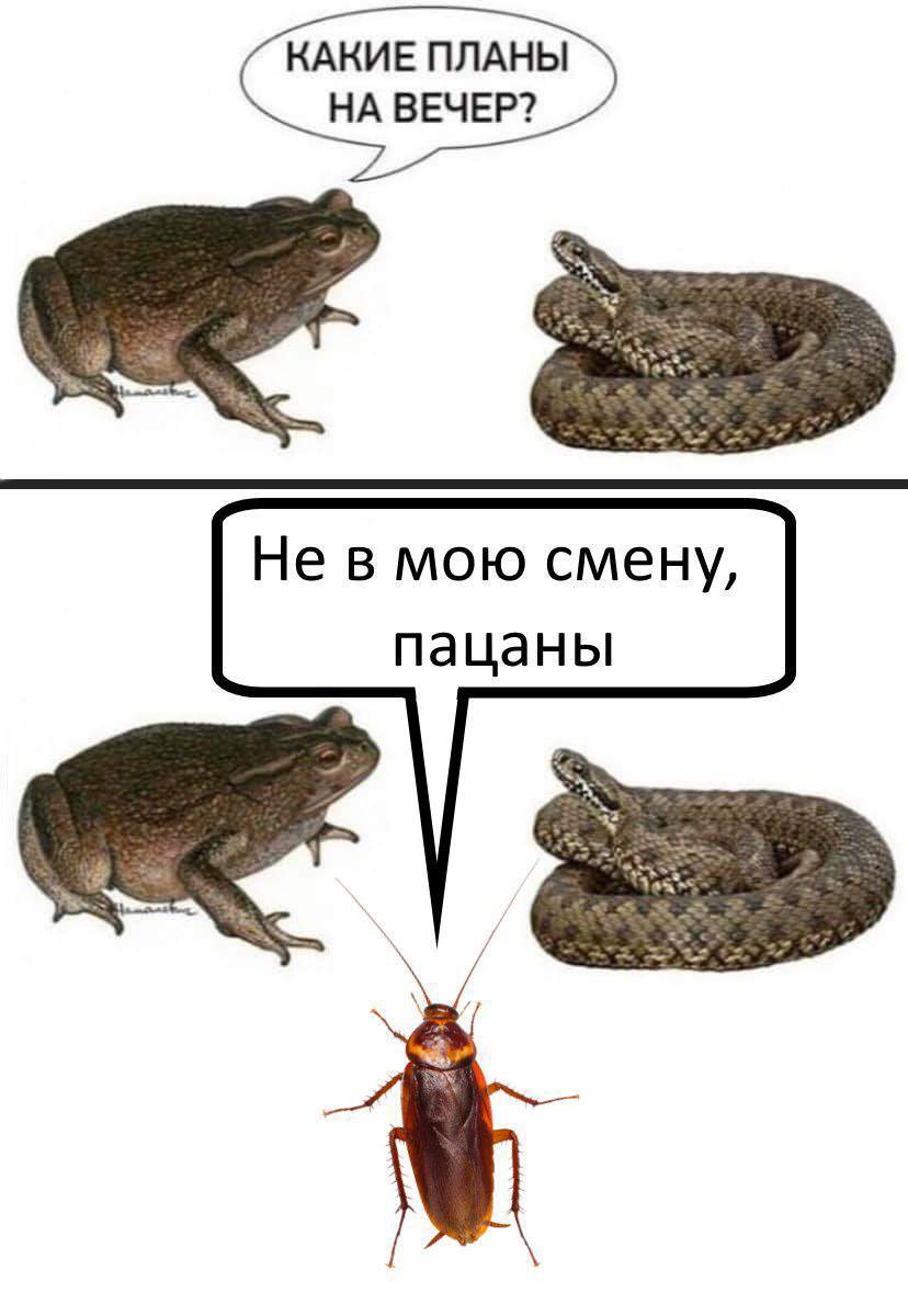 КАКИЕ ПЛАНЫ НА ВЕЧЕР? Не в мою смену, пацаны
