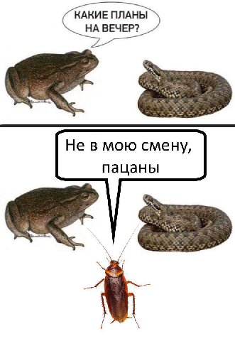 КАКИЕ ПЛАНЫ НА ВЕЧЕР? Не в мою смену, пацаны