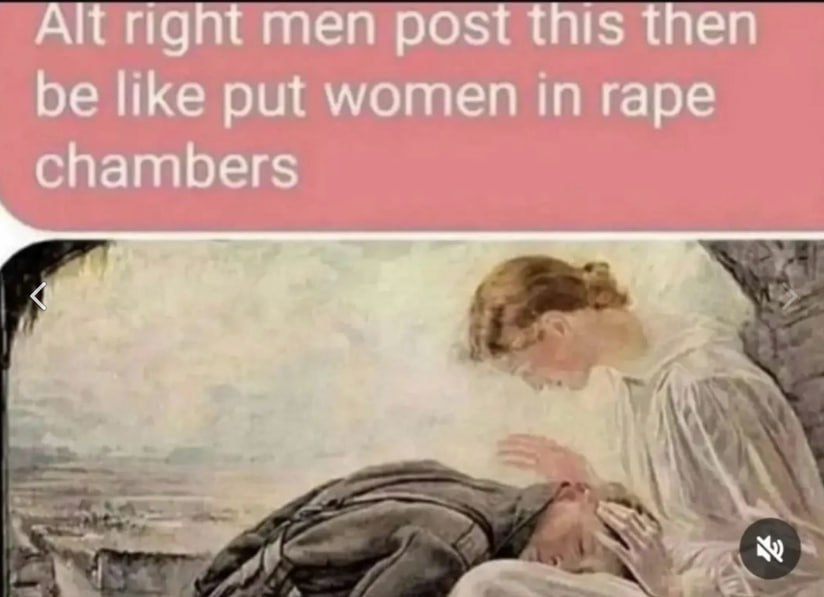 Alt right men post this then be like put women In rape chambers