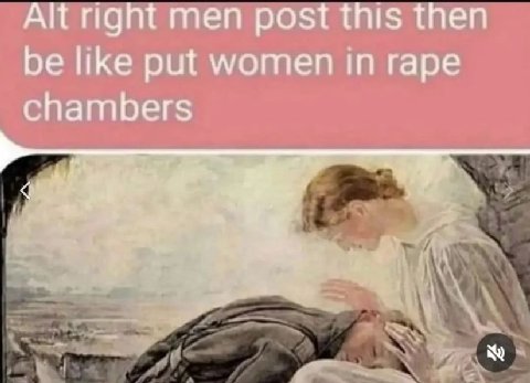 Alt right men post this then be like put women In rape chambers