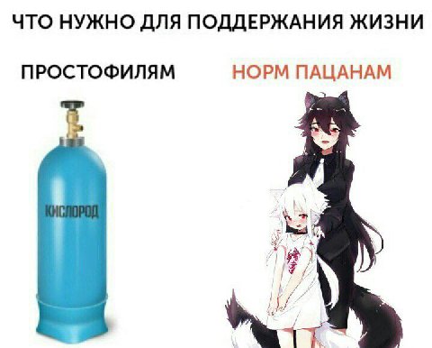 ЧТО НУЖНО ДЛЯ ПОДДЕРЖАНИЯ ЖИЗНИ ПРОСТОФИЛЯМ НОРМ ПАЦАНАМ