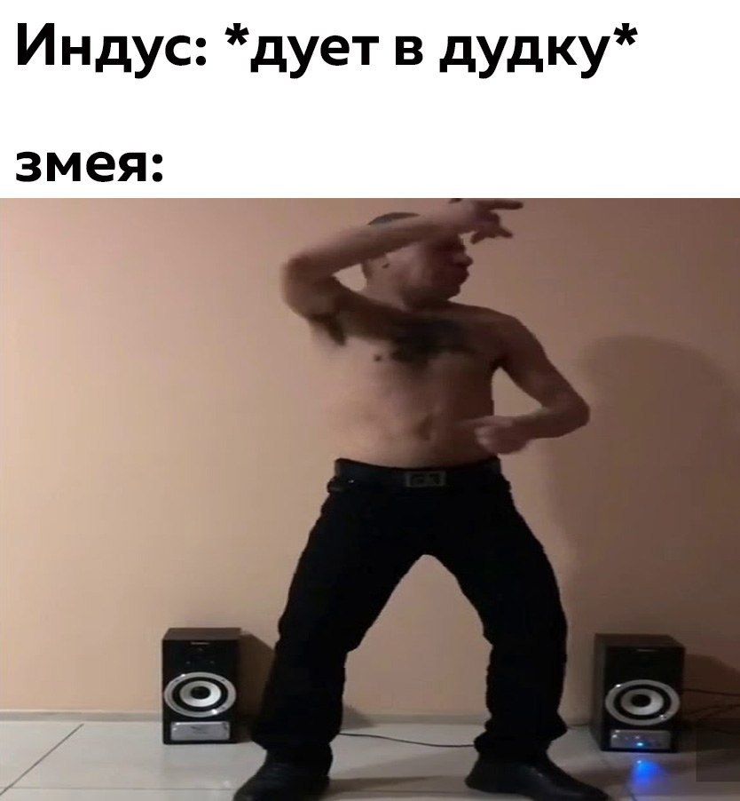 Индус: *дует в дудку* змея: