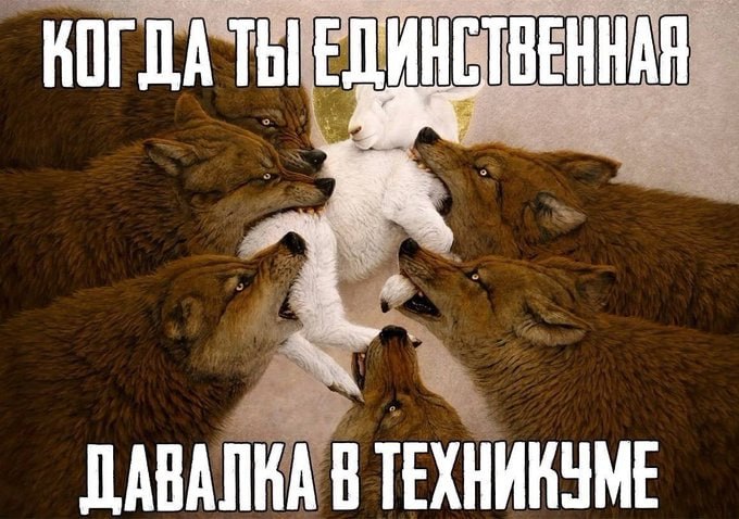 КОГДА Thl ИНЕТВЕННА В ТЕХНИКУМЕ