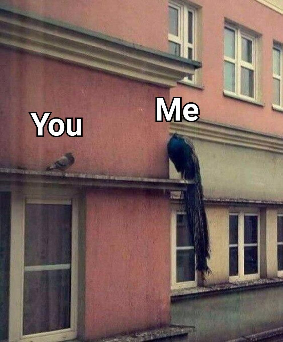 You Me