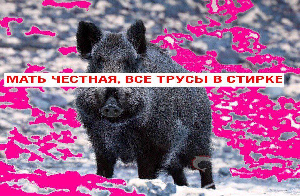 к... “МАТЬ ЧЕСТНАЯ. ВСЕ ТРУСЫ в СТИРКЕ
