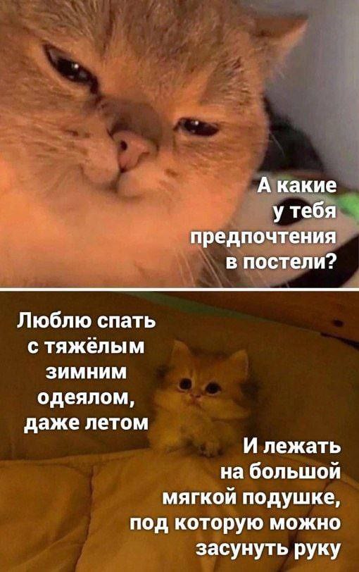А какие у тебя предпочтения в постели? Люблю спать с тяжелым зимним одеялом, даже летом И лежать на большой мягкой подушке, под которую можно засунуть руку