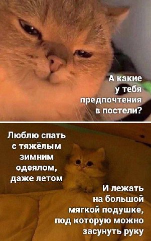 А какие у тебя предпочтения в постели? Люблю спать с тяжелым зимним одеялом, даже летом И лежать на большой мягкой подушке, под которую можно засунуть руку