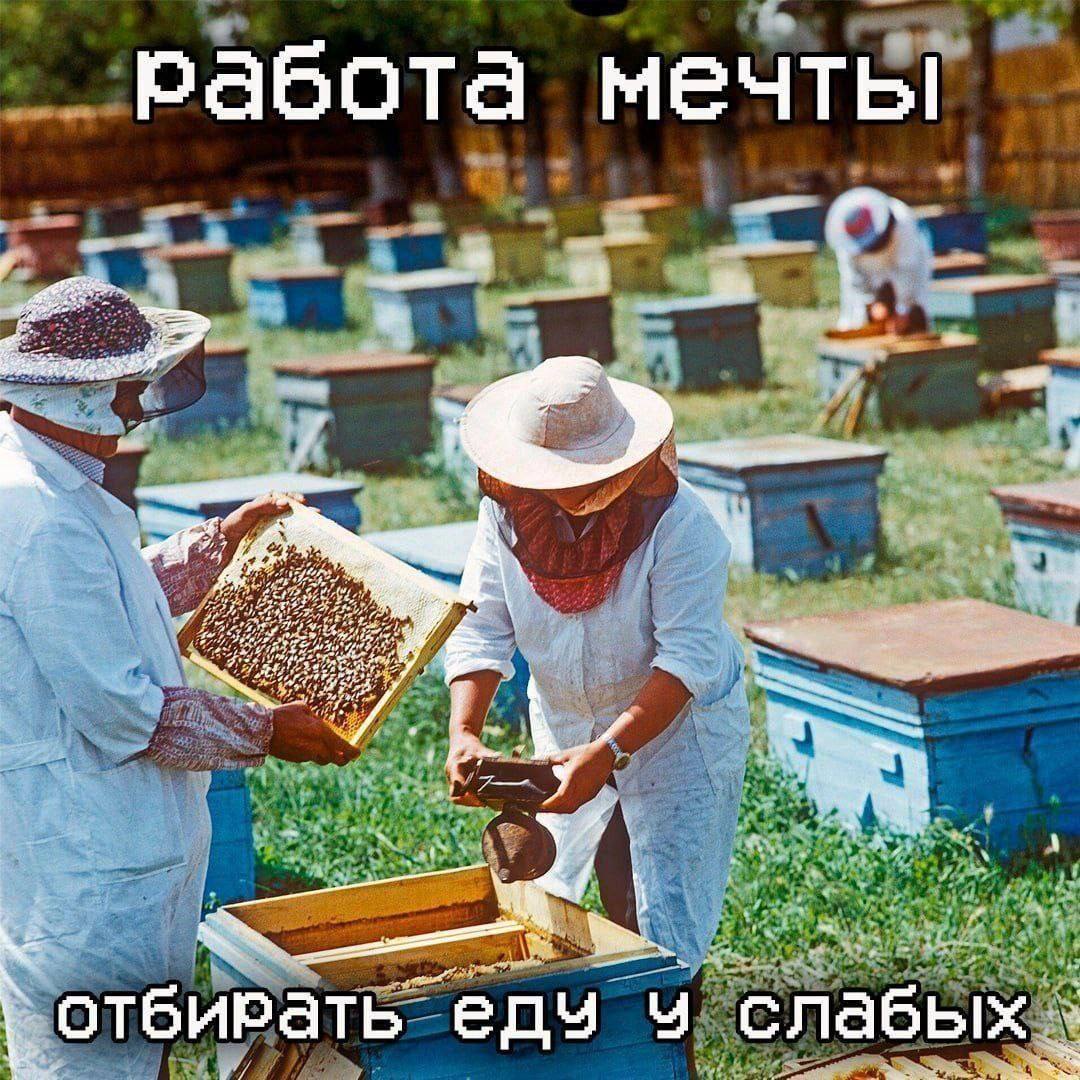 работа мечты отбирать слабых