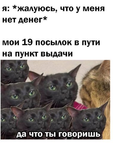 я: *жалуюсь, что у меня нет денег* мои 19 посылок в пути на пункт выдачи да что ты говоришь