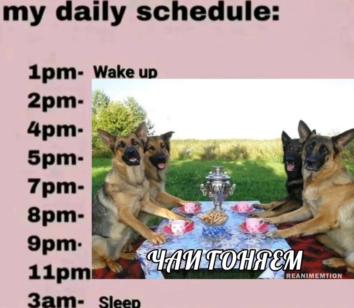 my daily schedule: 1рит- Wake up Sleen