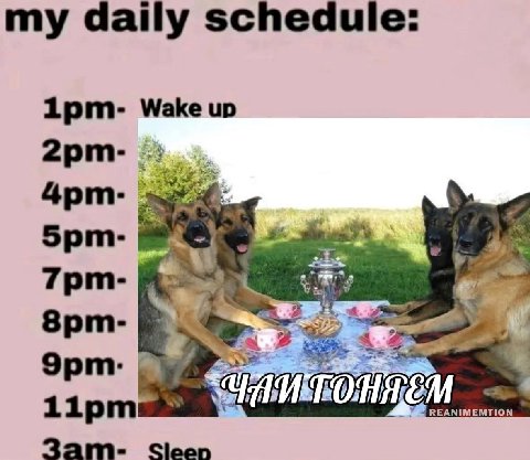 my daily schedule: 1рит- Wake up Sleen