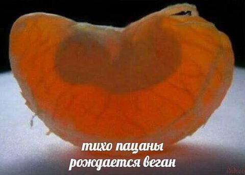 тихо пацаны роэкдается деган