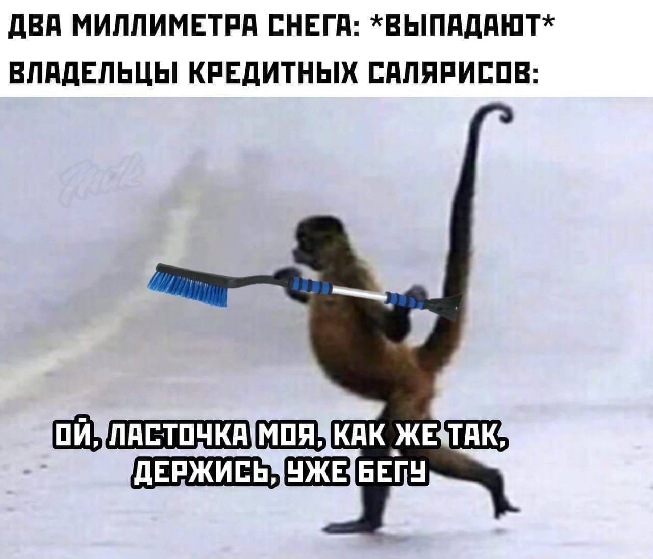 ДВА МИЛЛИМЕТРА СНЕГА: *ВЫПАДАЮТ* ВЛАДЕЛЬЦЫ КРЕДИТНЫХ САЛЯРИСОВ: