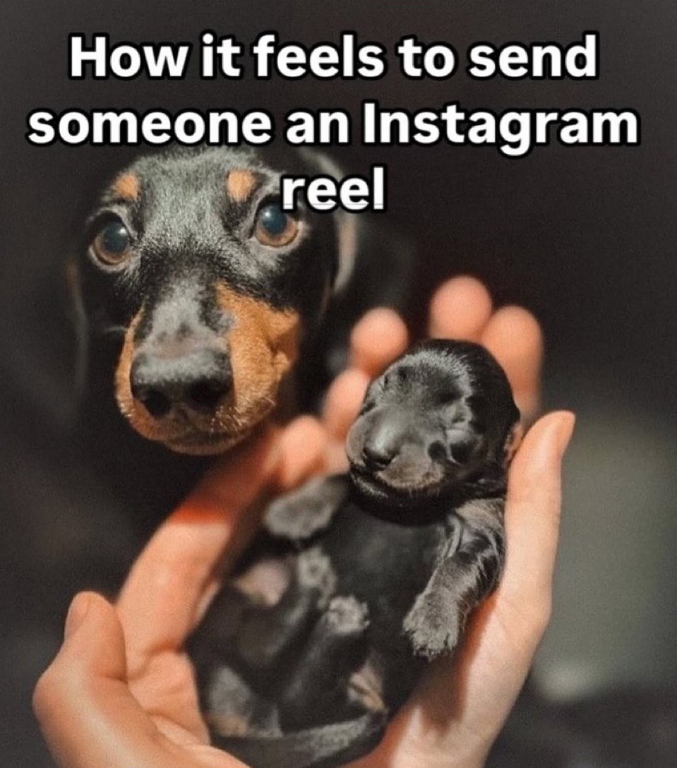 How it feels to send someone an Instagram ‘reel