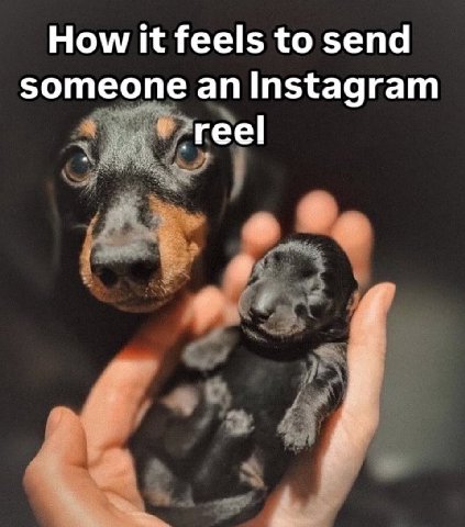 How it feels to send someone an Instagram ‘reel