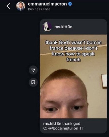 i dont trust the bookmark feature on instagram so for the past two years ive been saving funny reels by dming them to the french president