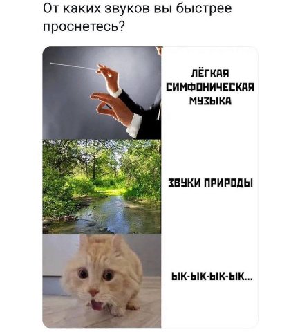 От каких звуков вы быстрее проснетесь? ЛЁГКАЯ СИМФОНИЧЕСКАЯ МУЗЫКА ЗВУКИ ПРИРОДЫ с ЫК-ЫК-ЫК-ЫК...