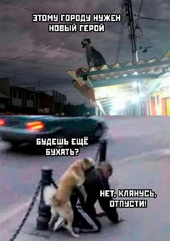 ЭТОМУ ГОРОДУ НУЖЕН НОВЫЙ ГЕРОЙ i БУДЕШЬ ЕЩЁ БУХАТЬ? НЕТ, КЛЯНУСЬ, ОТПУСТИ!