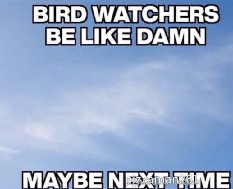 BIRD WATCHERS BE LIKE DAMN МАУВЕ