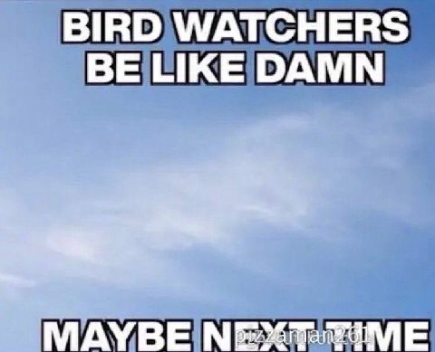 BIRD WATCHERS BE LIKE DAMN МАУВЕ
