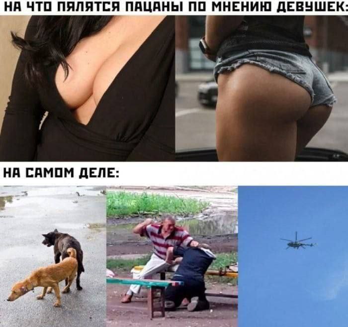НА ЧТО ПЯЛЯТСЯ ПАЦАНЫ ПО МНЕНИЮ ДЕВУШЕК: НА САМОМ ДЕЛЕ: a