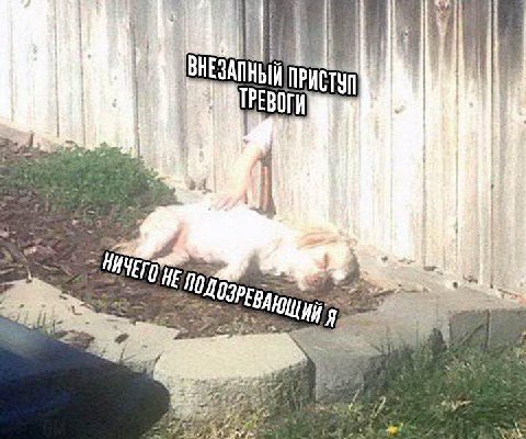 шутка дня (не шутка)