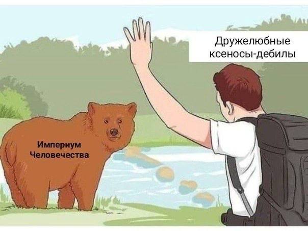 Дружелюбные ксеносы-дебилы
